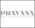 Pravana Products